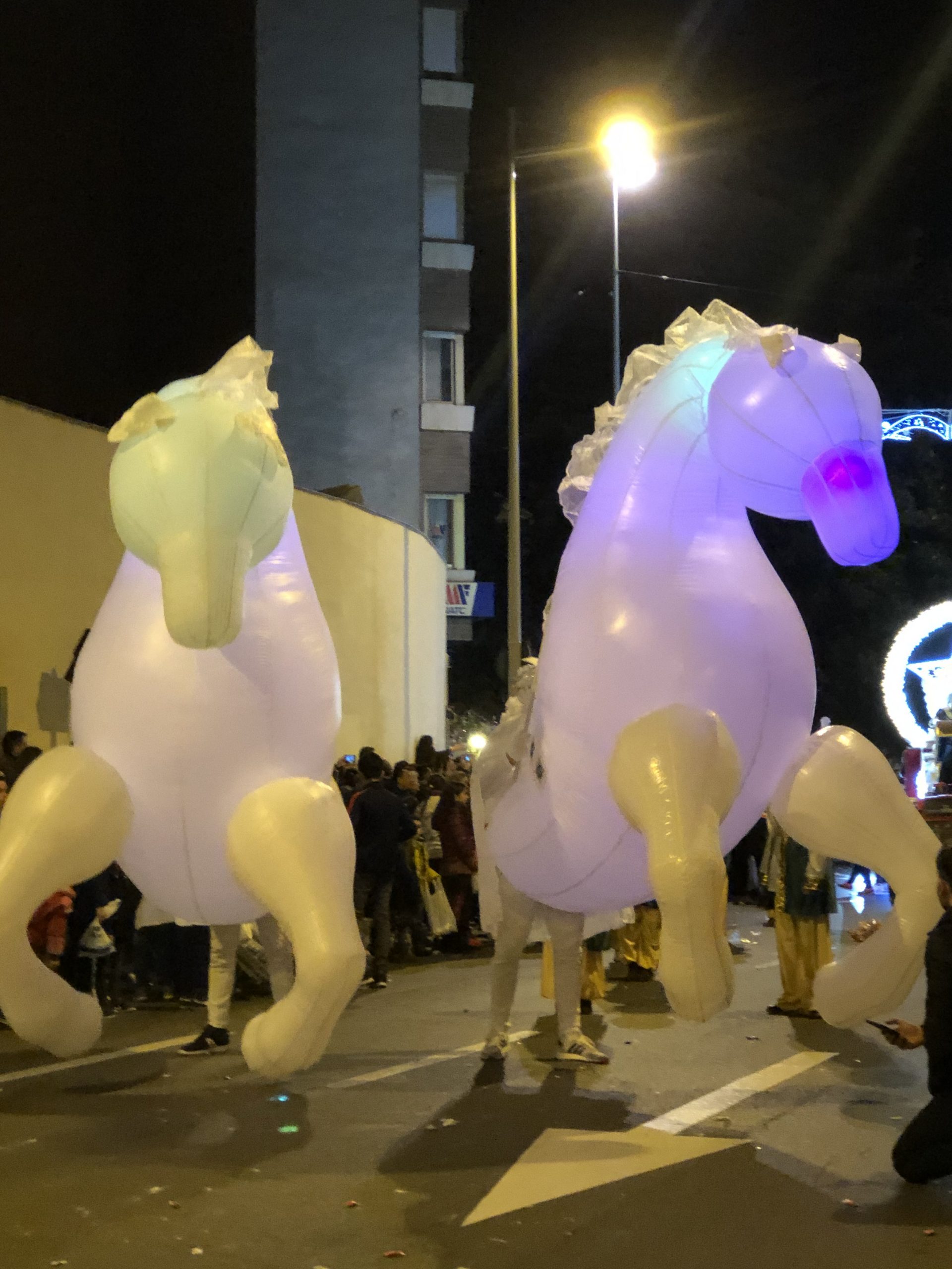 IMG-1643